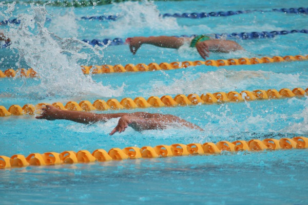 Butterfly speed charts